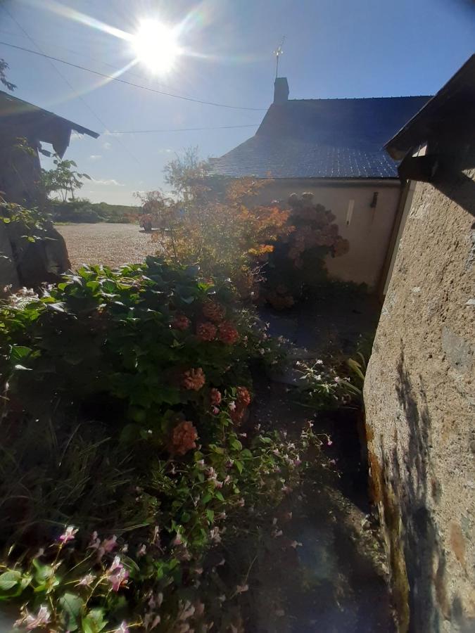 Maison A La Campagne - Piscine Beaulieu-sur-Layon Exteriör bild